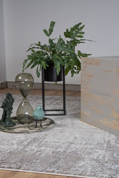 Nexora Graubraun 120 - Teppich Glanz