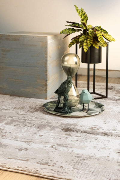 Nexora Graubraun 124 - Teppich Glanz